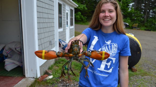 Abby and the lobster
