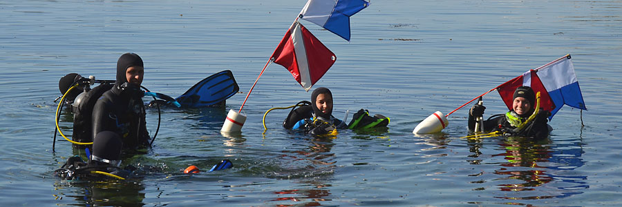 Scientific Diving - Darling Marine Center - University of Maine