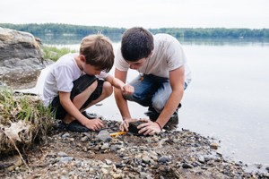 looking at a horseshoe crab