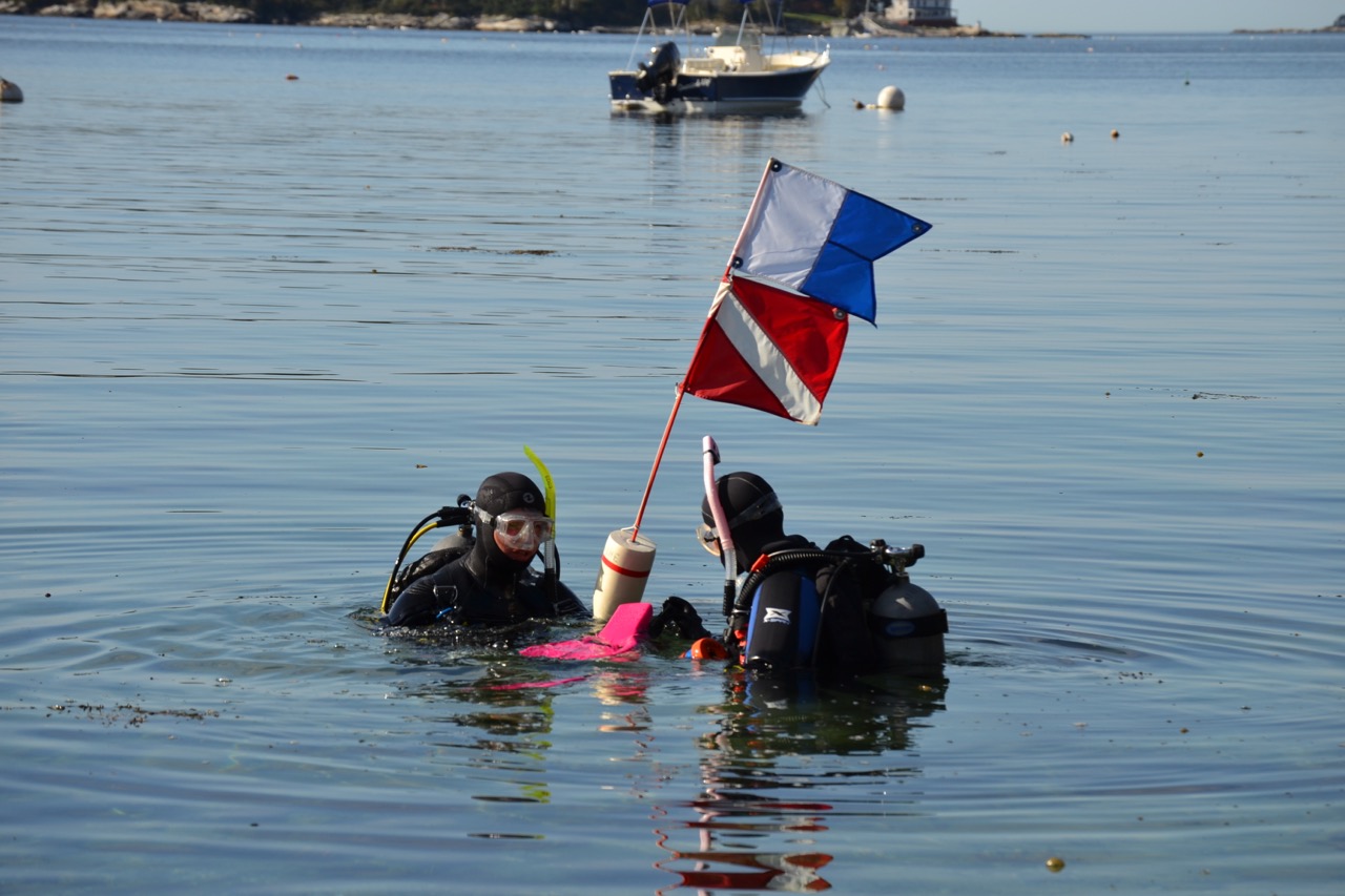 Picture of scuba divers