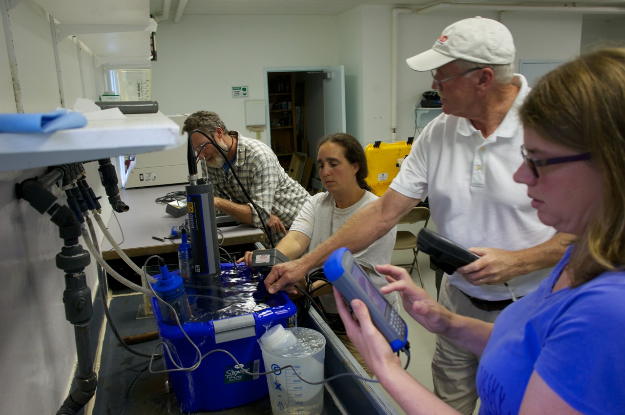 Picture of volunteers in lab