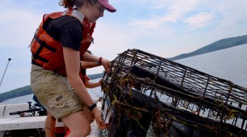 SEANET intern on the Damariscotta River