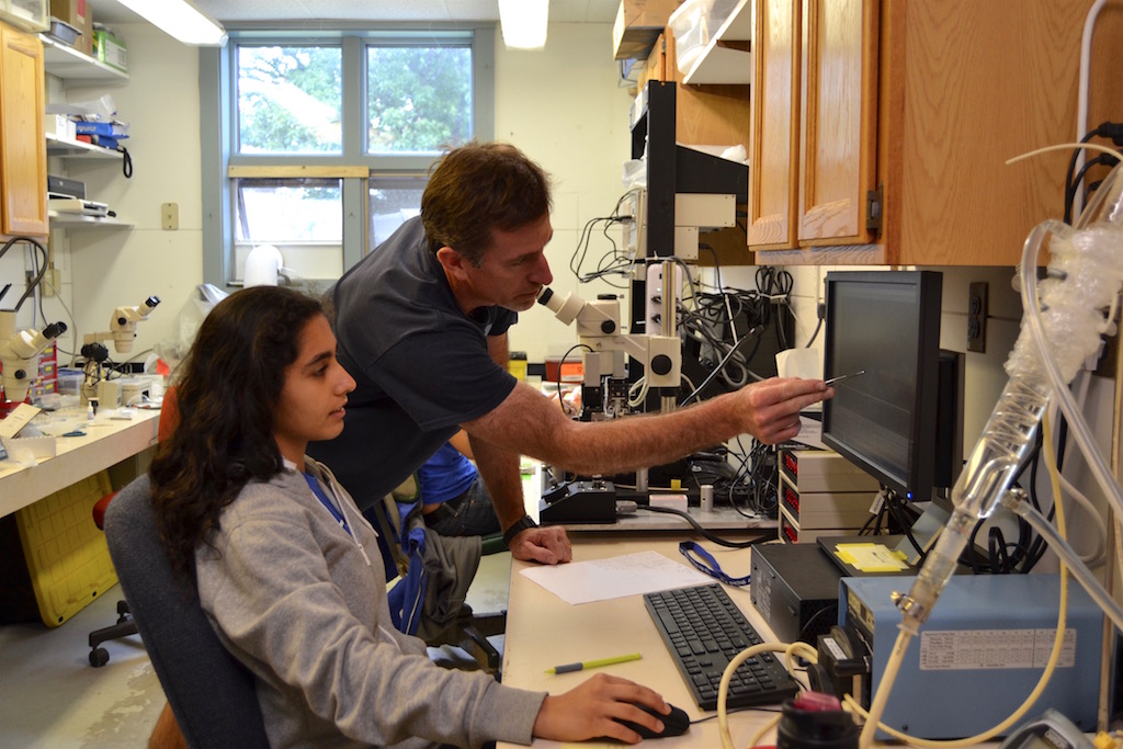 Dr. Joe Thompson and his intern Rashi Anand conducting an experiment on squid muscles at the Darling Marine Center in Walpole. Photo by Aliya Uteuova.
