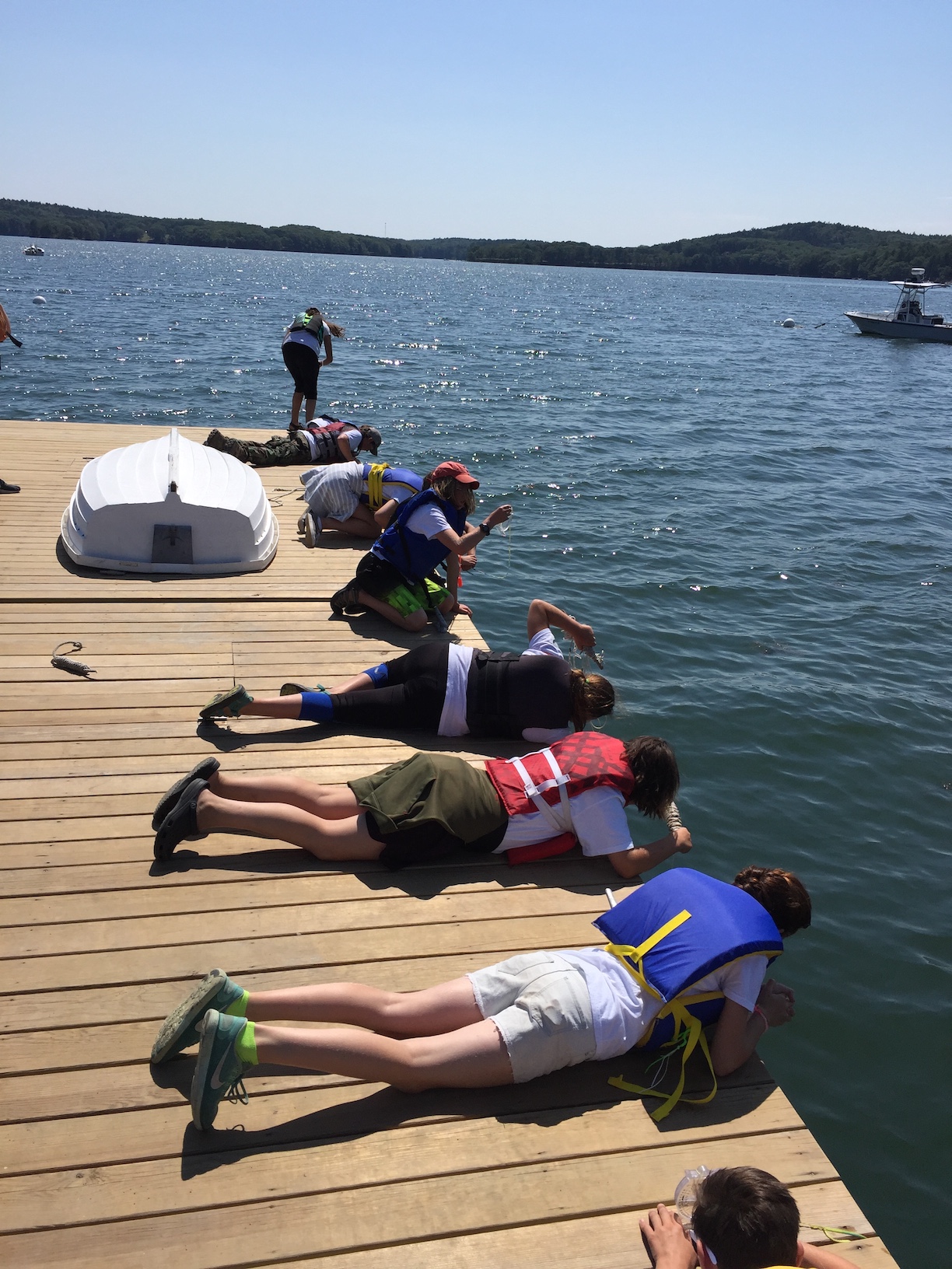 Boothbay Sea and Sciecne Center campers at the Darling Marine Center