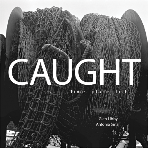 Cover image of Caught