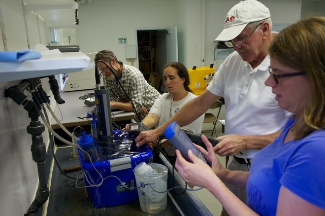 picture of citizen scientists