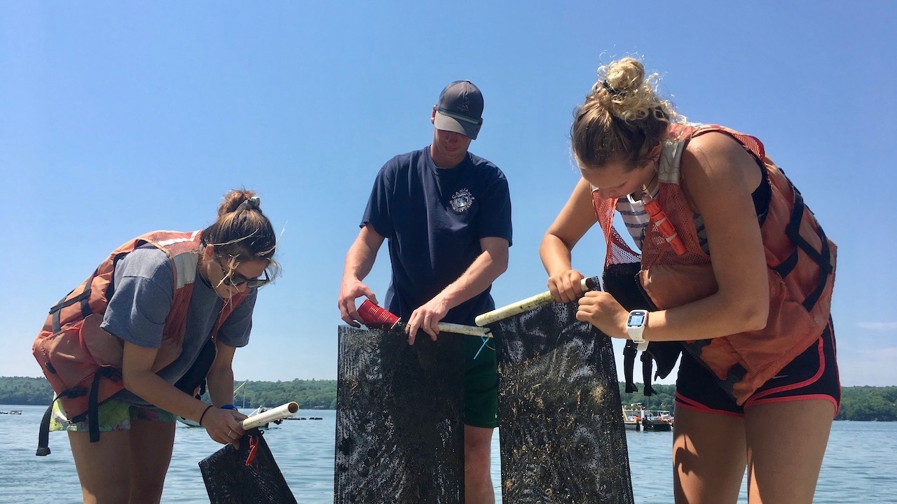 picture of summer interns