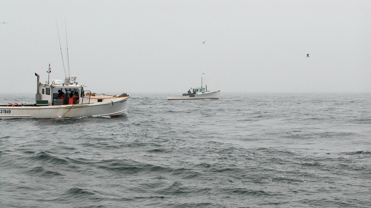 picture of lobster boats