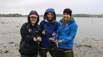 picture of interns digging clams.