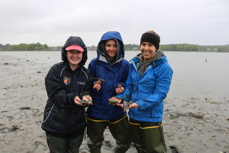 picture of interns digging clams.