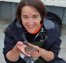 picture of Maine Sea Grant Director