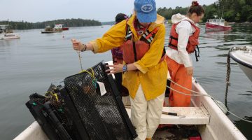 Damian Brady and Chris Davis will talk about challenges and opportunities for aquaculture in Maine, at the Darling Marine Center at 10:30 a.m. Aug. 9