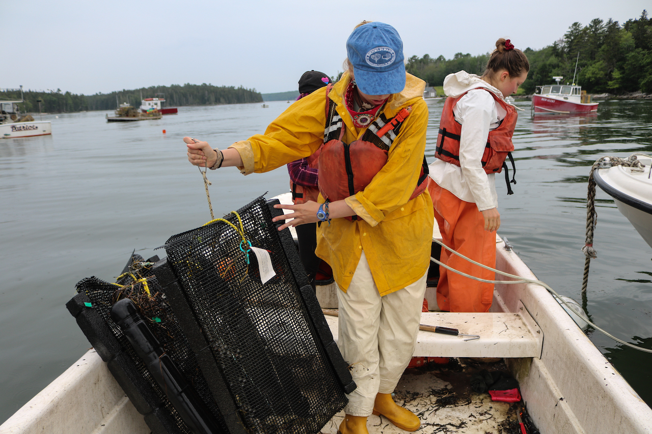 Damian Brady and Chris Davis will talk about challenges and opportunities for aquaculture in Maine, at the Darling Marine Center at 10:30 a.m. Aug. 9