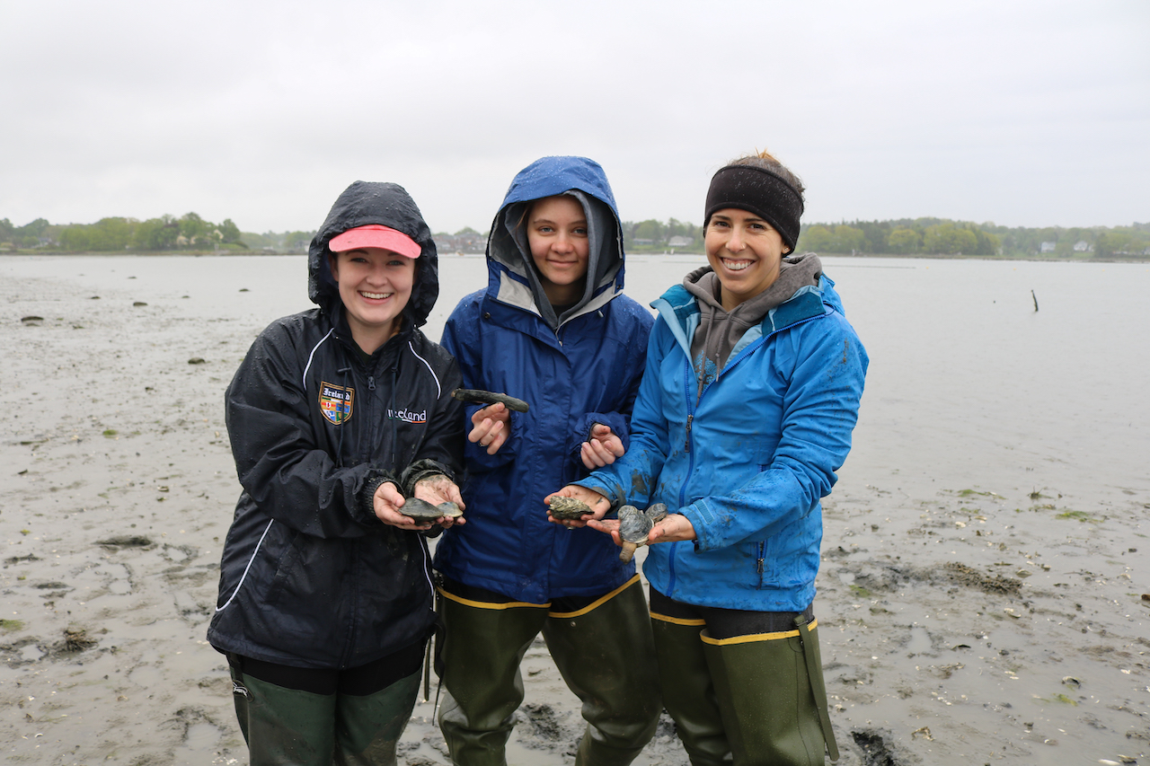 students holding shellfish in mudflat