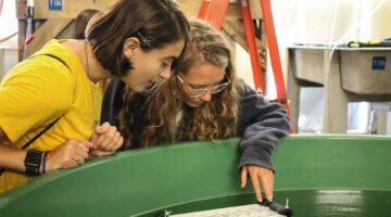 Students look at lobster larvae in a tank