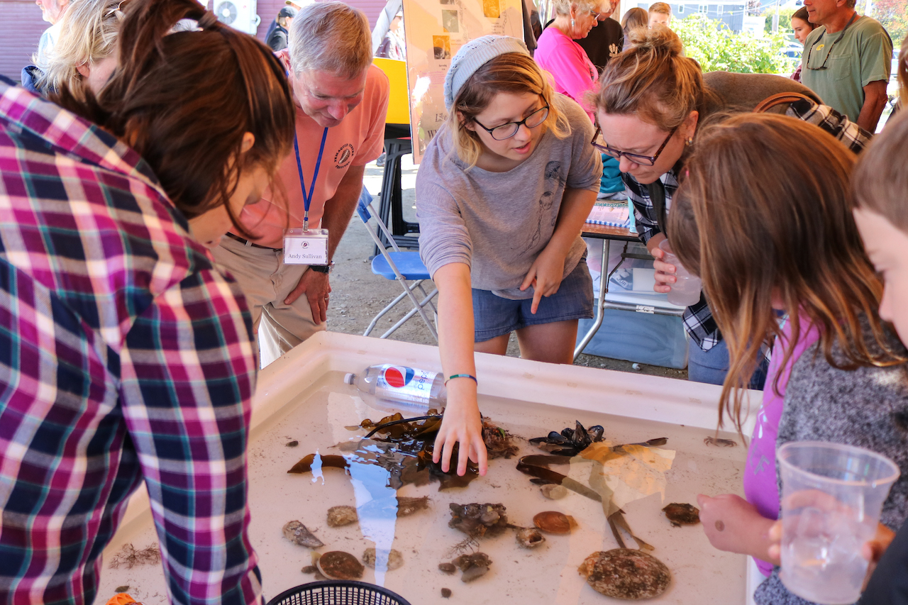 woman shows people marine animals in touch tank at festival