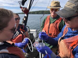 Researchers on boat