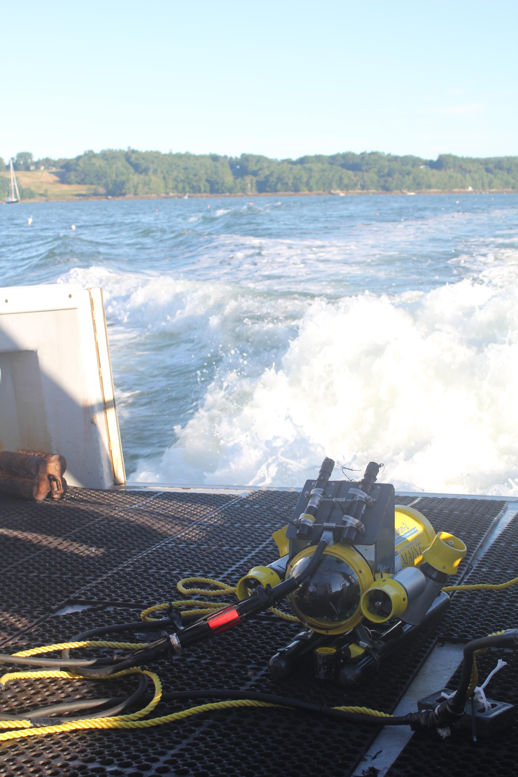 Marine Ecology Internship Darling Marine Center University of Maine