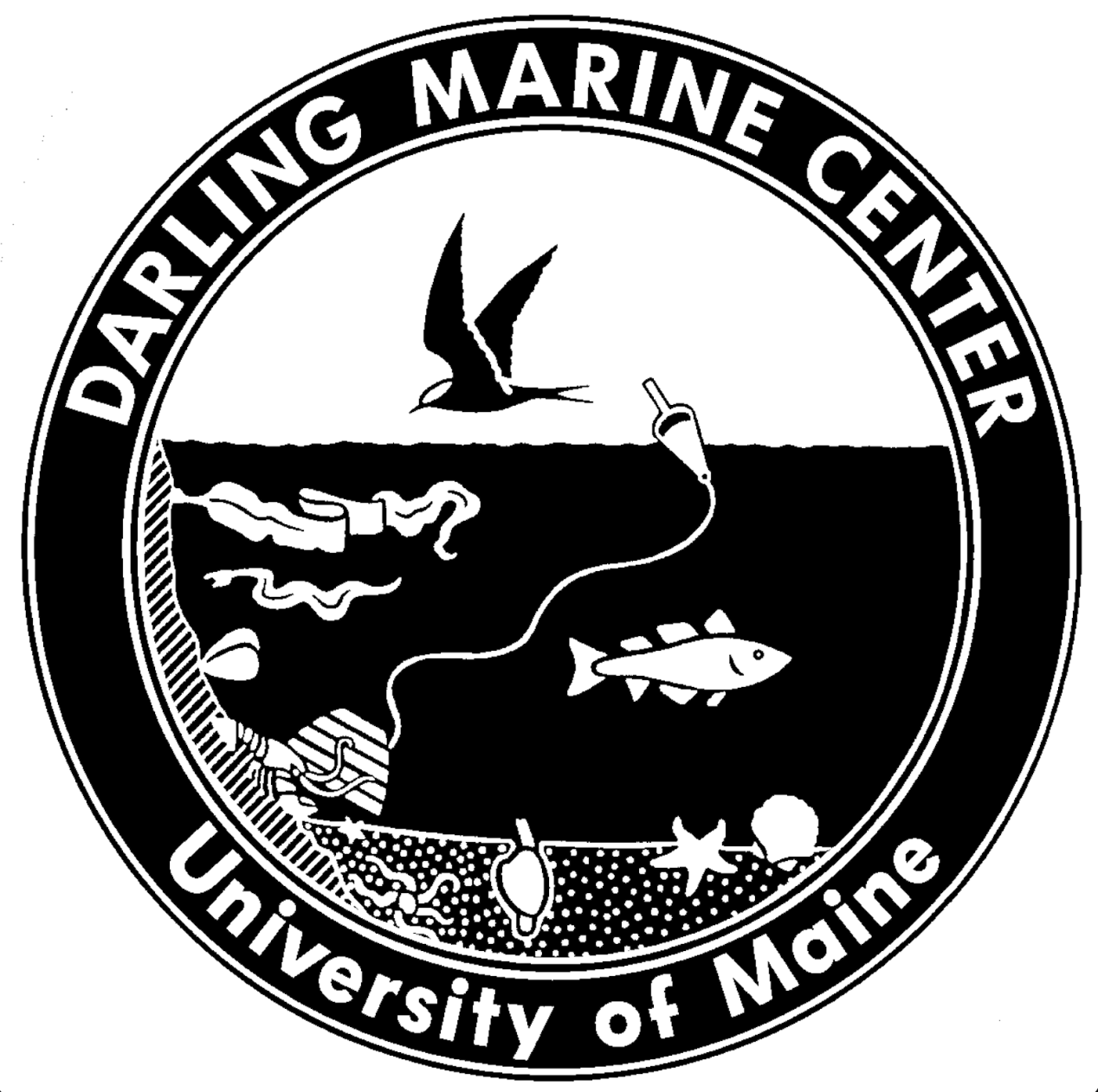 darling marine center logo